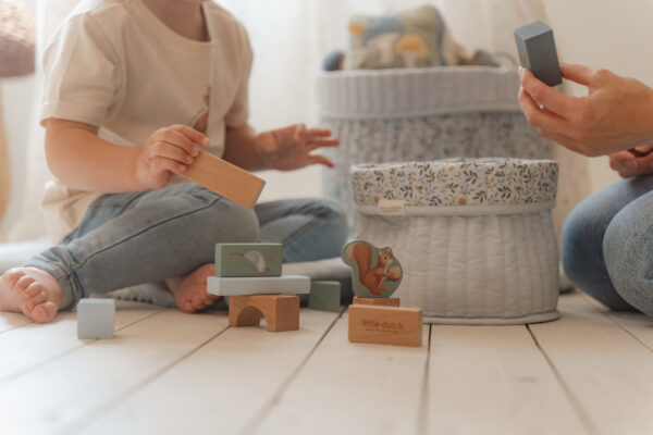 Building Blocks - Forest Friends FSC